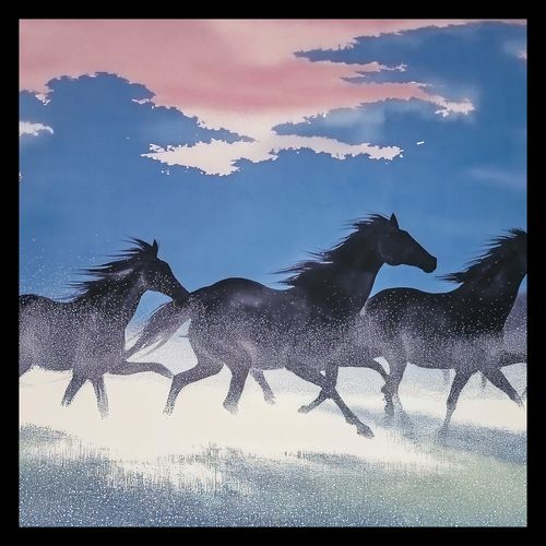 Plakat 40x40cm Wolność i Swoboda na Arena.pl