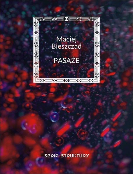 Pasaże Maciej Bieszczad zdjęcie 1