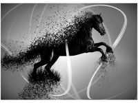 50X70CM CZARNO BIAŁY KOŃ GMENTARYZACJA JAKUB BANAŚ OBRAZ POKOJU DREWNINE