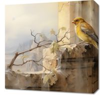Obraz 50x50cm Kanarek na Skraju