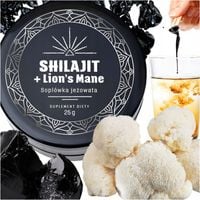 SHILAJIT MUMIO AŁTAJSKIE Z LIONS MANE NATURALNE ORYGINALNE CZYSTE PASTA 25G