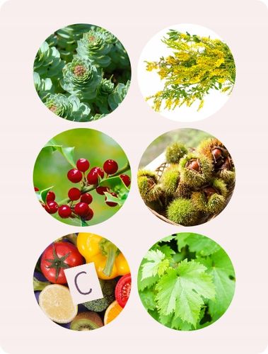 Veniseptico - wsparcie dla układu krążenia na Arena.pl