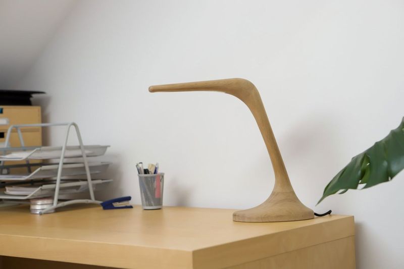 CONCORDIA zdjęcie 3