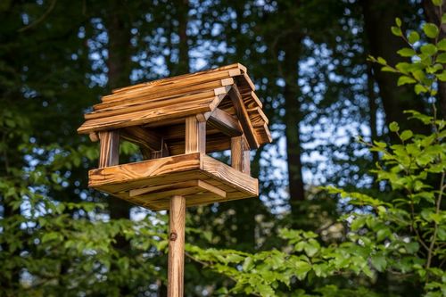 Karmnik Dla Ptaków Na Ziarno Duży Stojący Opalany Solidny + Słonecznik na Arena.pl