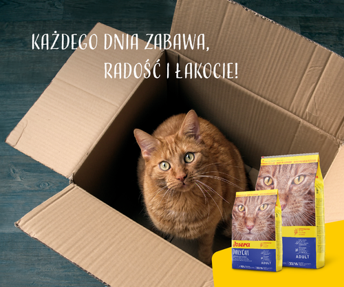 josera daily cat 400g na Arena.pl