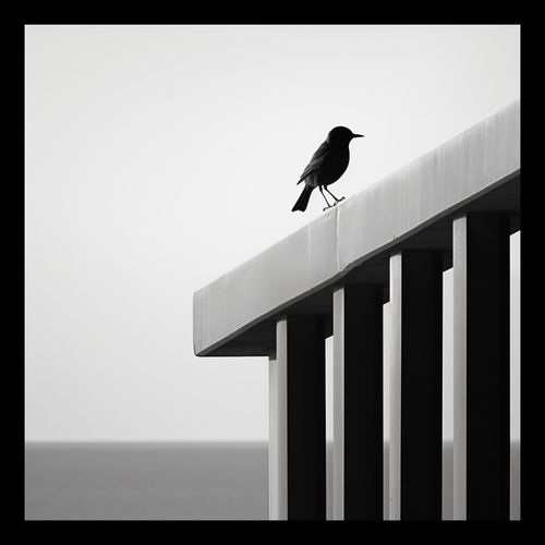 Plakat 20x20cm Samotna Odchłań na Arena.pl