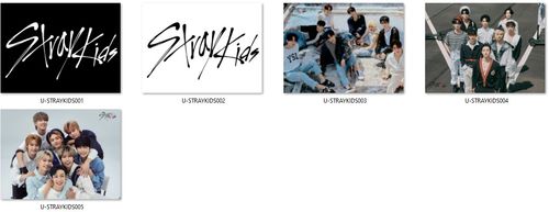 Poduszka Stray Kids DO WYBORU na Arena.pl