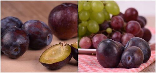 Śliwa WĘGIERKA ZWYKŁA SAMOPYLNA idealny SMAK na Arena.pl