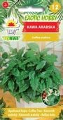Kawa arabska zimozielone drzewko 6 szt. nasion