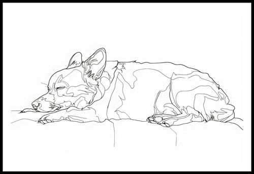 Plakat 86,4x56,8cm Śpiący Psiak na Arena.pl