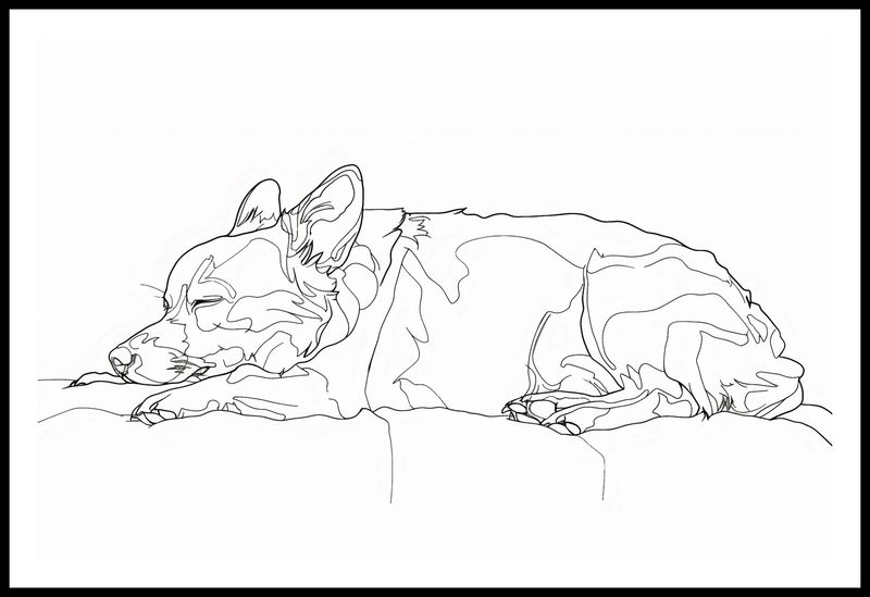 Plakat 86,4x56,8cm Śpiący Psiak zdjęcie 3