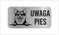 GRAWER Tabliczka nierdzewna laminat 20x10 UWAGA PIES Welsh corgi pembroke
