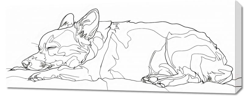 Obraz 100x40cm Śpiący Psiak zdjęcie 1