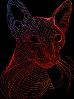 Plakat 30x40cm Cyfrowa Kocica