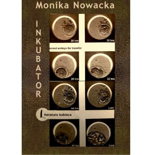 (epub, mobi, pdf) INKUBATOR zdjęcie 1
