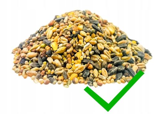 Karmnik Dla Ptaków Duży XXL Opalany Mocny Solidny Budka + Haki + Karma na Arena.pl