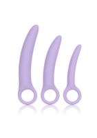 alena set of 3 dilators purple