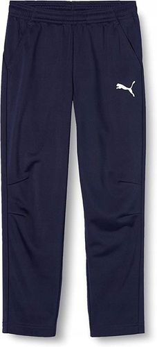 Puma spodnie dresowe męskie niebieski rozmiar L na Arena.pl