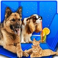 MATA CHŁODZĄCA DLA PSA I KOTA DUŻA LEGOWISKO XXXL 90x50cm