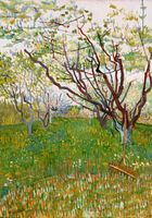 Plakat 70x100cm The Flowering Orchard, Van Gogh Vintage