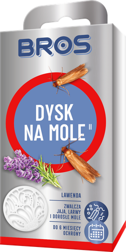 dysk na mole lawenda BROS na Arena.pl