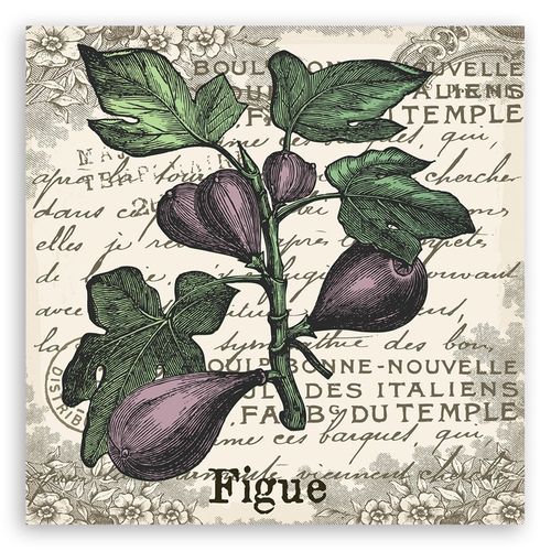 Emaga Obraz na płótnie, Figi vintage - 50x50 na Arena.pl