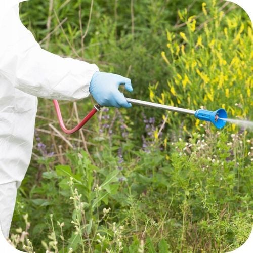 Monsanto Roundup Plus 360 SL 5l Chwasty Randap na Arena.pl