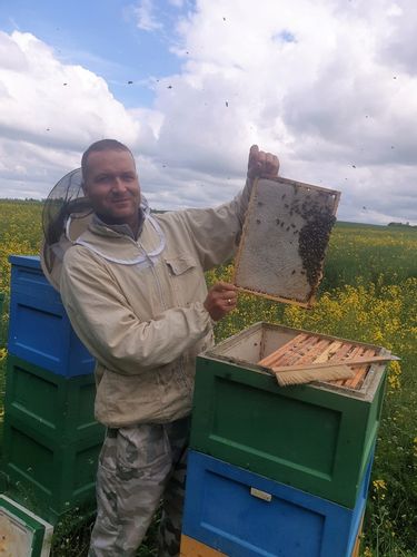 Miód Faceliowy 1100g naturalny świeży dla dzieci na Arena.pl