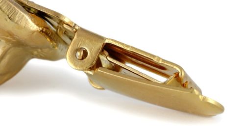 Chihuahua - klips - 1042 na Arena.pl