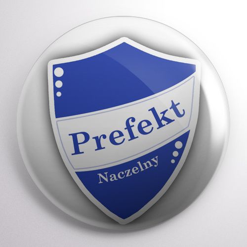 Przypinka Harry Potter na Arena.pl