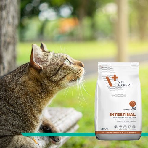 Sucha karma dla kotów wsparcie trawienia Vet Expert Intestinal 2 kg na Arena.pl