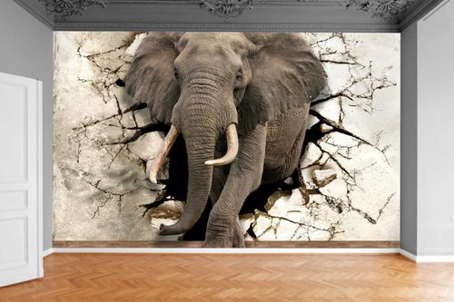 Fototapeta DZIURA W ŚCIANIE SŁOŃ TYNK 3D 130x80 na Arena.pl