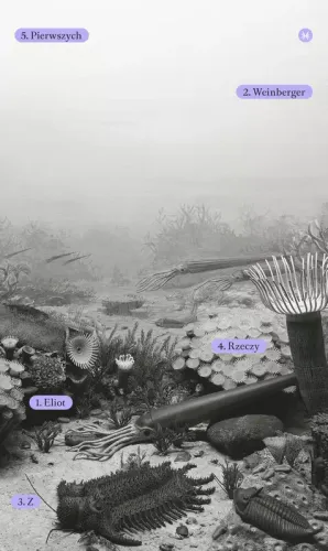 Z rzeczy pierwszych wyd. 2 na Arena.pl