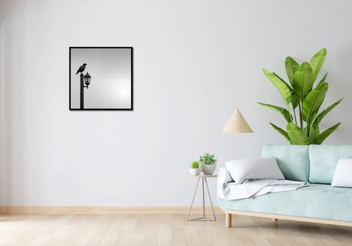 Plakat 60x60cm Samotny Postój Kruka na Arena.pl