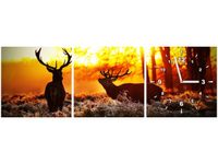 product-compare-58711155