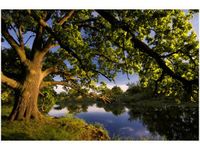 product-compare-58681930