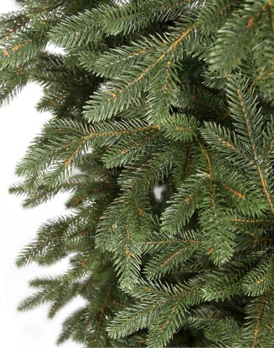 Choinka Świerk Leśny 180cm na Arena.pl