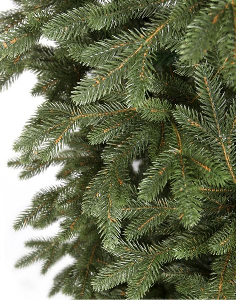 Choinka Świerk Leśny 180cm zdjęcie 6