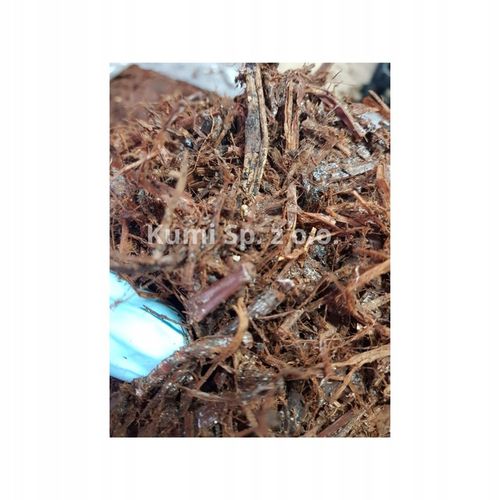 GRZYBNIA PIECZARKI BIAŁEJ BALOT 20KG ZESTAW 3FAZA + TORF 9KG + na Arena.pl