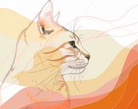 Plakat 76x60,5cm Delikatny Profil Kota