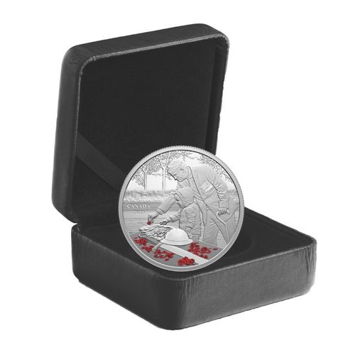 Canada: Remembrance Day kolorowany $20 Srebro 2023 Proof na Arena.pl