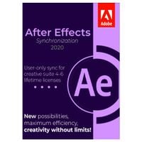 Synchronizacja After Effects 2020 - Licencja Wieczysta (LifeTime) - Windows - Użytkownik Indywidualny - BOX (USB)