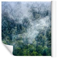 Fototapeta Las we Mgle NATURA Rośliny do Jadalni 135x90