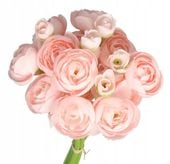 BUKIET PEŁNIK JASKRY SZTUCZNE KWIATY 29 CM 6 GAŁ PEONIA PIWONIA