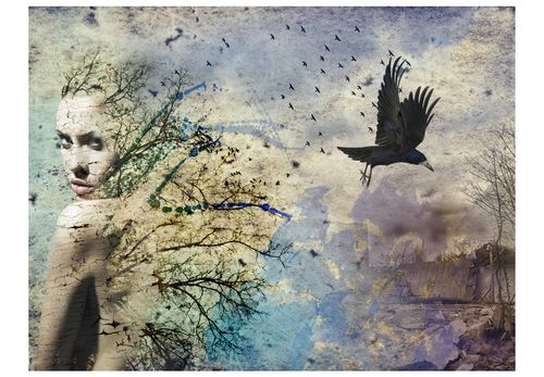 Obraz - Dzika plaża na Arena.pl