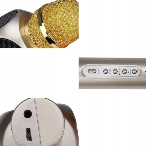 MIKROFON KARAOKE BLUETOOTH dla DZIECI Echo Efekt na Arena.pl