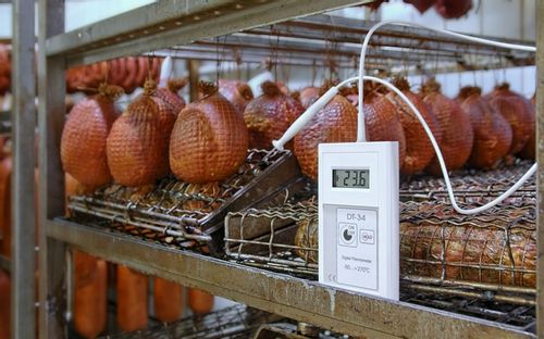 Termometr DT34 od producenta do żywności HACCP na Arena.pl