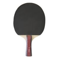 rakieta do tenisa stołowego spartan power