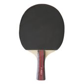 rakieta do tenisa stołowego spartan power