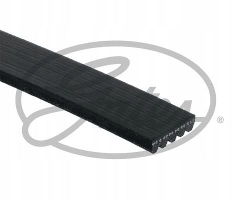 PASEK W/KLINOWY 5PK1236SF GATES na Arena.pl